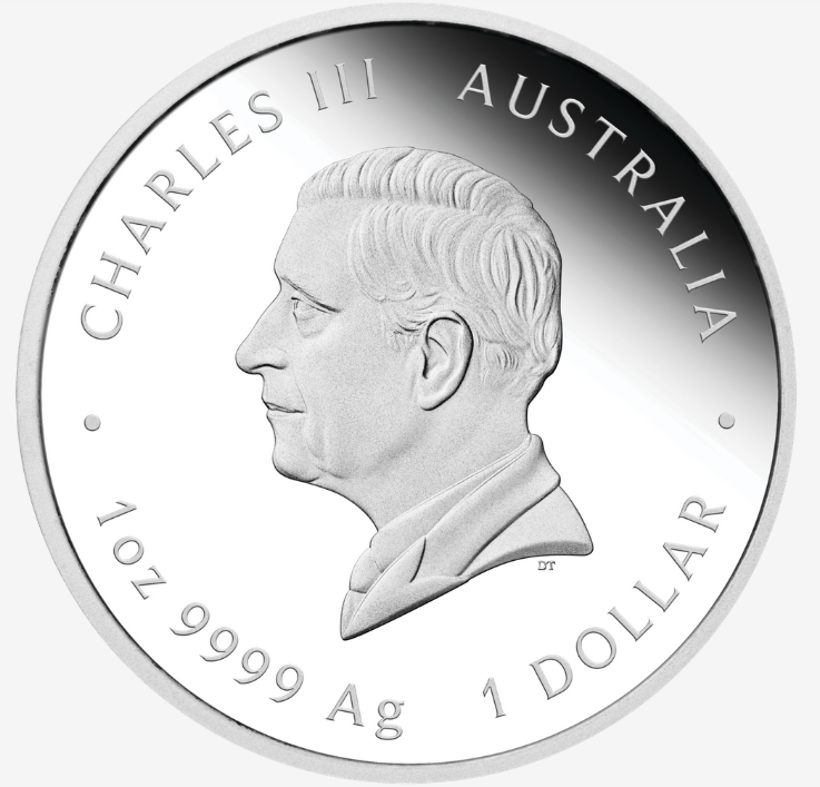2025 Australian Lunar Series YOT Snake 1oz Silver Proof Coin